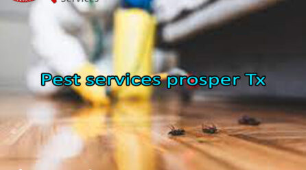 Importance Of Hiring Specialized Pest Services Prosper TX