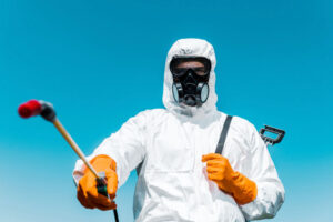 Importance Of Professional Pest Control Company Prosper Texas