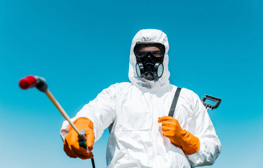 Importance Of Professional Pest Control Company Prosper Texas