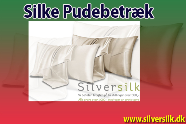 Silk Cushion Cover – The Most Premium & Must-Have LuksusSengetøjTilbud