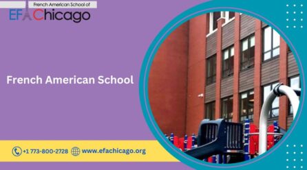 Why Bilingualism Matters: Why Should You Enrol Your Child Into French School In Chicago?