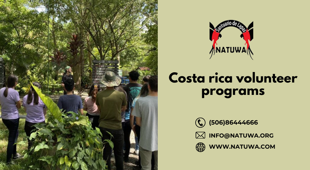 Making a Difference: Exploring Costa Rica Volunteer Programs