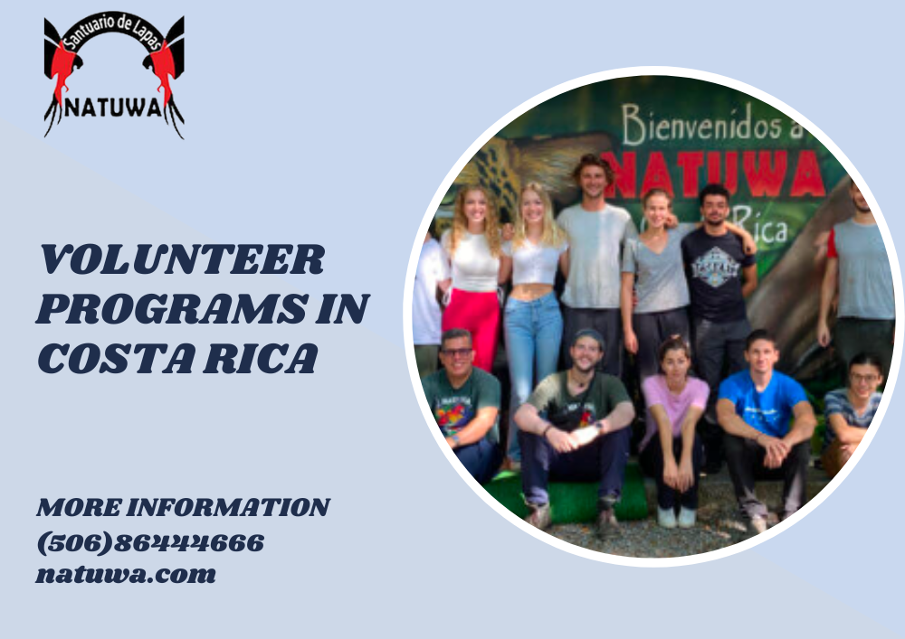 Volunteer Program with Tapirs in Costa Rica: Make a Difference for a Unique Species