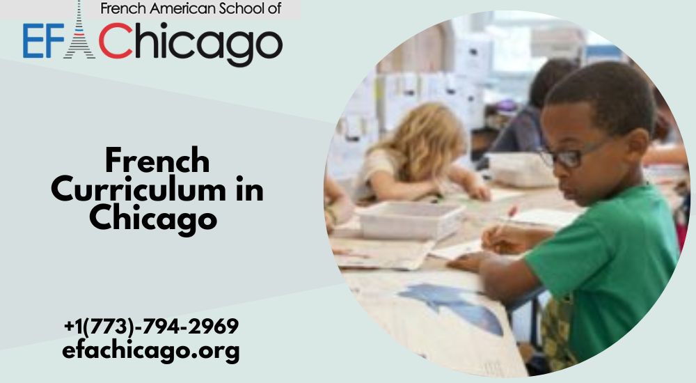 Guide to French Curriculum Schools in Chicago: Offering Bilingual Excellence