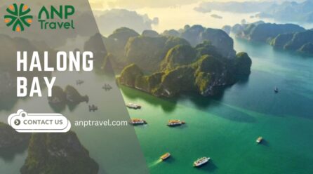 Discovering Halong Bay: A Natural Wonder of the World