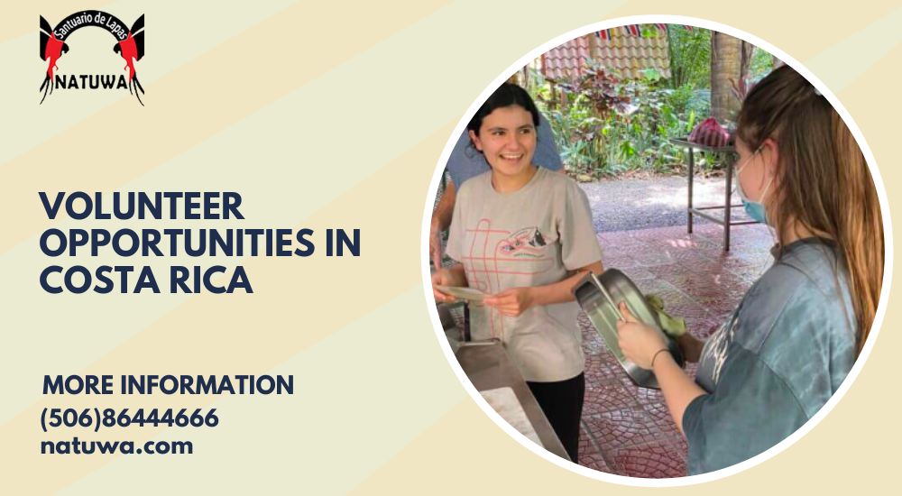 Volunteer Opportunities in Costa Rica: Making a Difference While Exploring Paradise