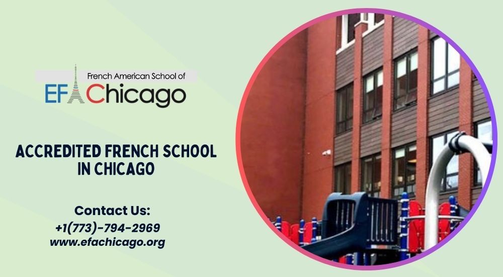 Accredited French Schools in Chicago: A Gateway to Global Education