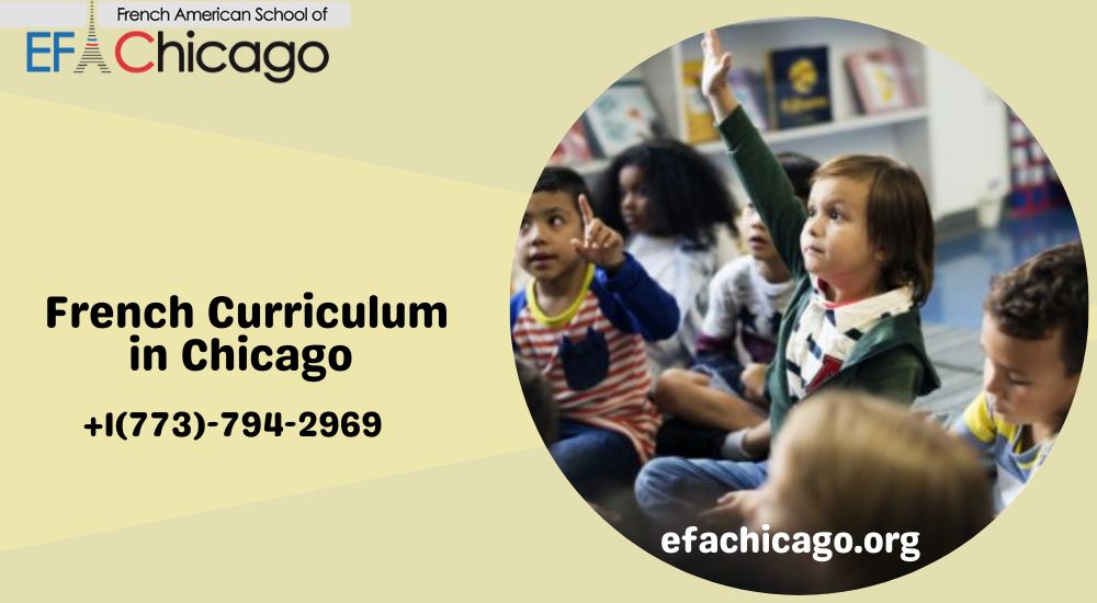 Discovering the French Curriculum in Chicago: A Guide for Parents and Students