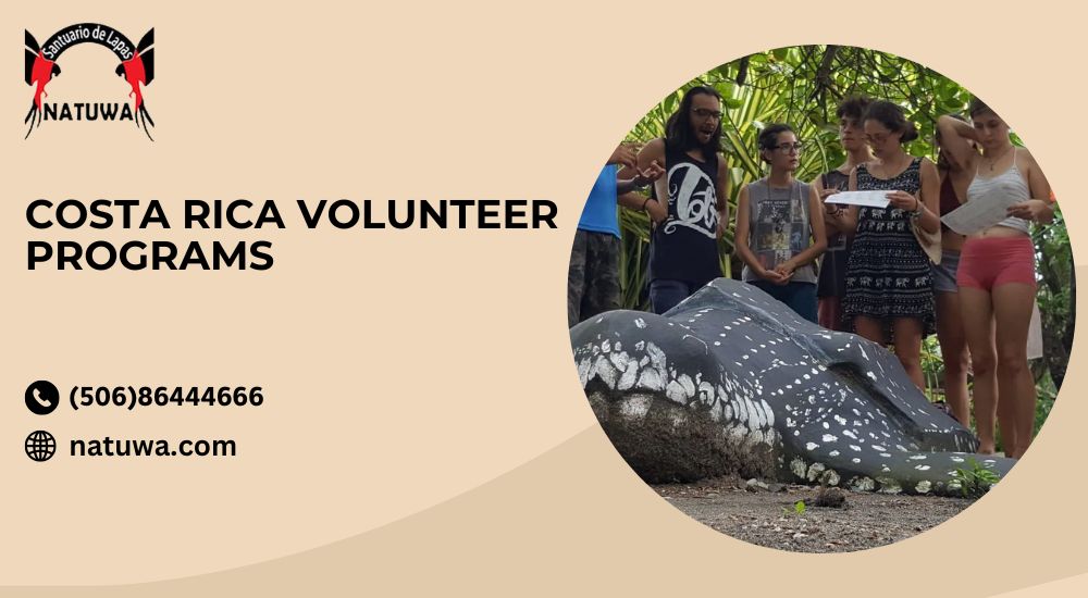 Costa Rica Volunteer Programs: Exploring Wildlife Volunteer Opportunities in Costa Rica